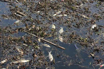 紡織印染無硅消泡劑