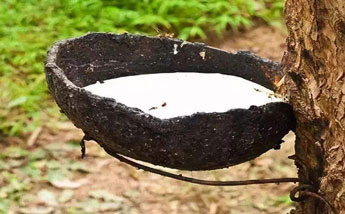 天然乳膠消泡劑