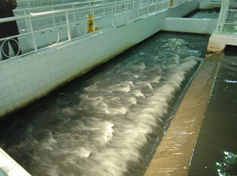 日化廠污水消泡劑